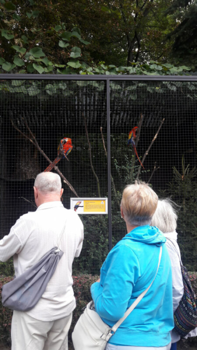 G12 krakowskie zoo